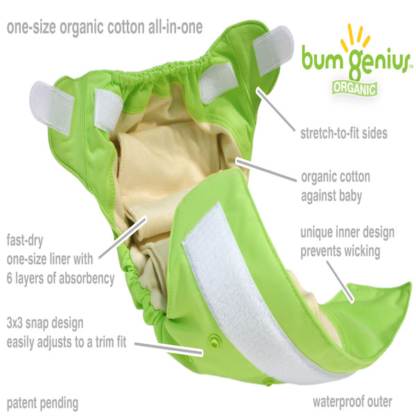 bumgenius-organic-annotated.jpg